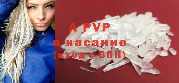 прущие грибы Верея