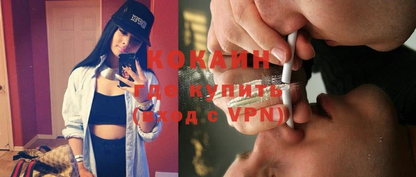 прущие грибы Верея