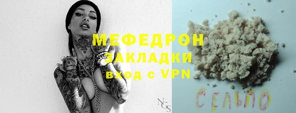 прущие грибы Верея