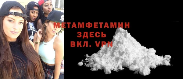 прущие грибы Верея