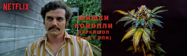 прущие грибы Верея