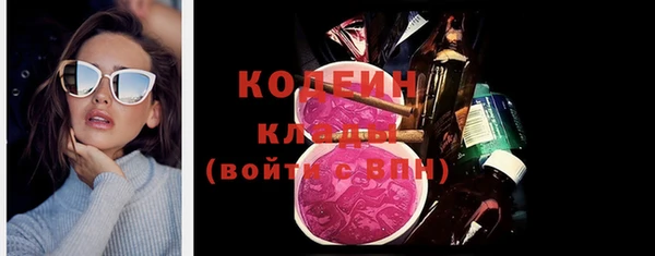 прущие грибы Верея