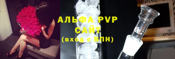 прущие грибы Верея