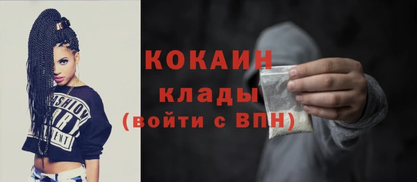 прущие грибы Верея