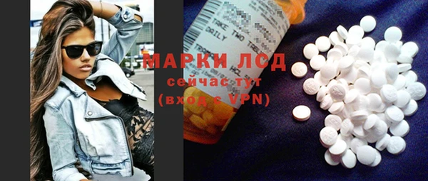 прущие грибы Верея