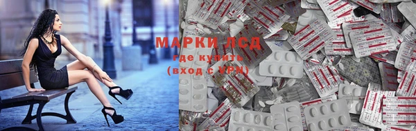 прущие грибы Верея