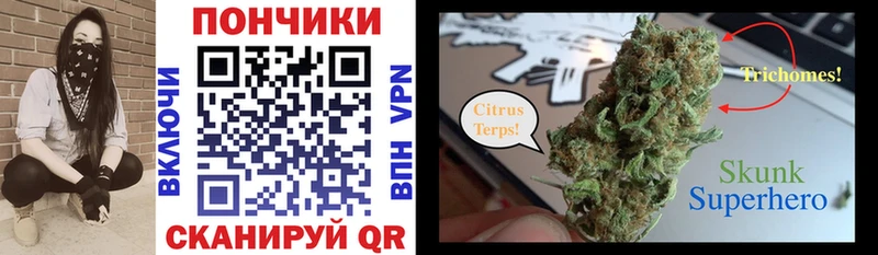 гидра зеркало  Гвардейск  Канабис сатива 